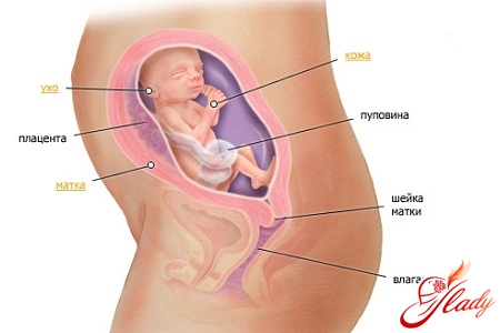 Pregnancy Week 23 Symptoms