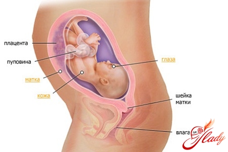 Pregnancy Week 28 Symptoms