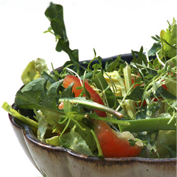 Karahindiba salatası