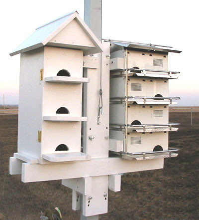 "Multi-apartment" birdhouse Lilla Martin