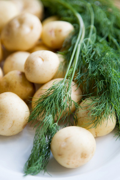 Junge Kartoffelrezepte