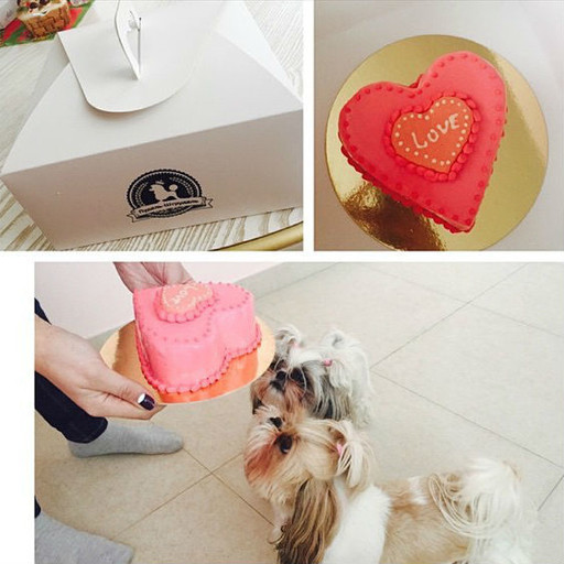 Sergei Lazarev opened a confectionery for dogs "Poodle-Strudel", news