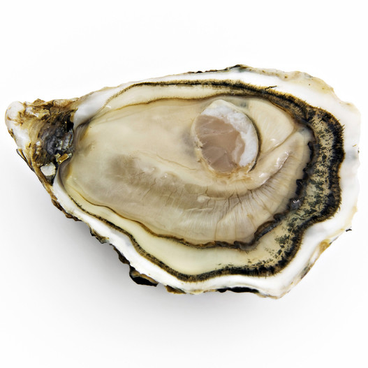 Oysters in restaurants 