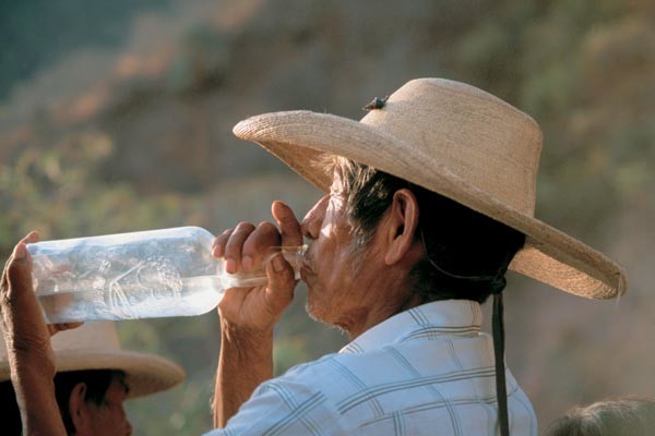 History of tequila