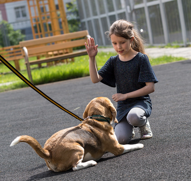 子供が犬を飼う時間です。