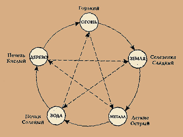 Element Interaction Diagram Shows Relationsbetween them. Elements connected by solid arrows feed and support each other. The elements connected by dotted arrows suppress each other. The interaction of the tastes and organs related to them is also considered to be the same.