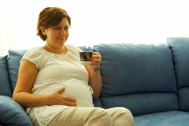 decoction of dogrose during pregnancy