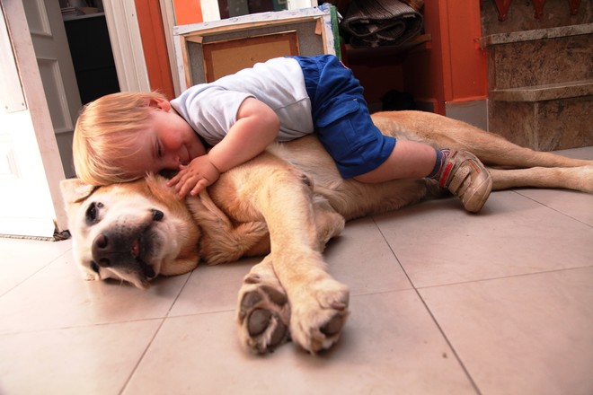 child and dog in the house