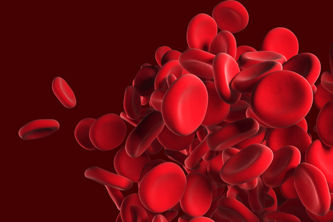 thrombocytes in children