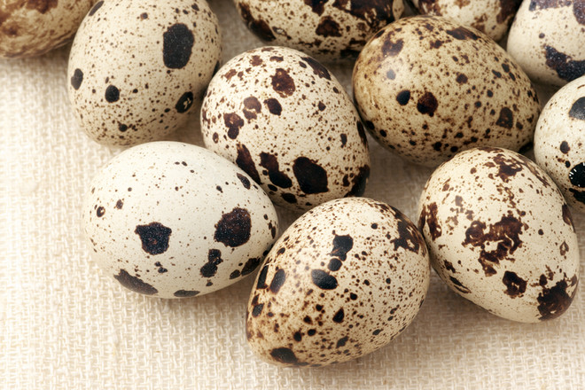 Перепелині яйця корисні властивості