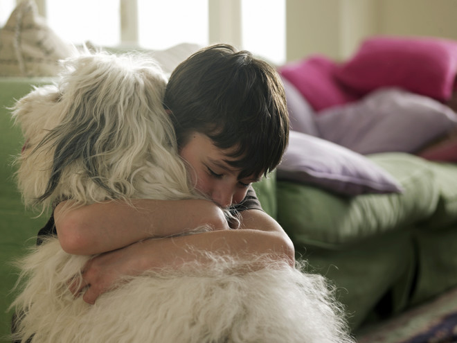 When is it time for a child to start a dog?