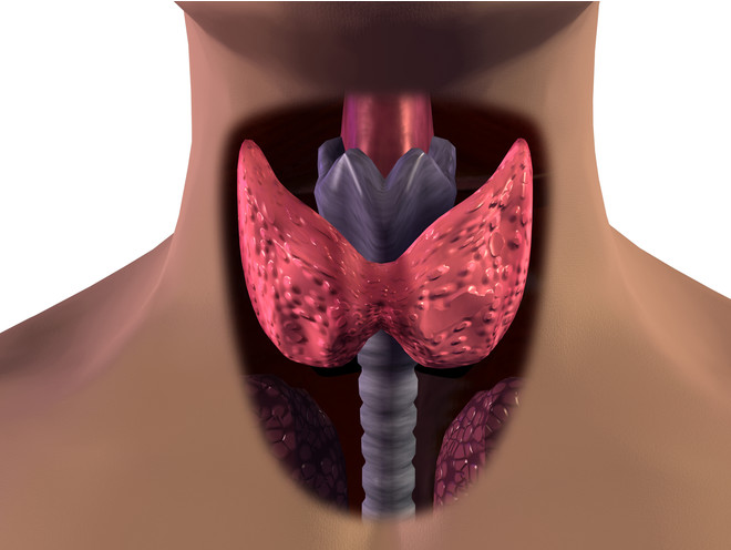 Gebelikte hipotiroidizm