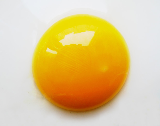 baby yolk
