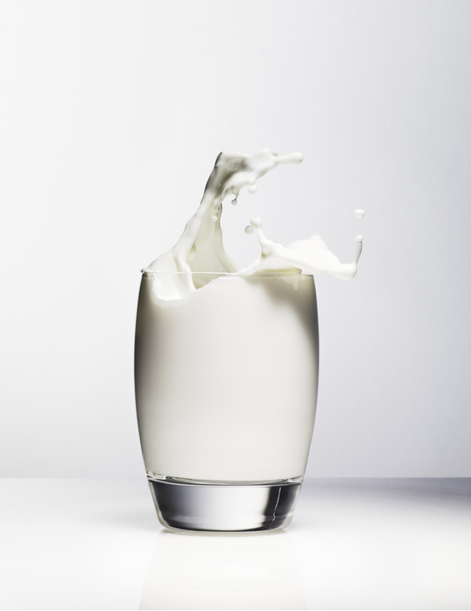 ko mælk protein allergi