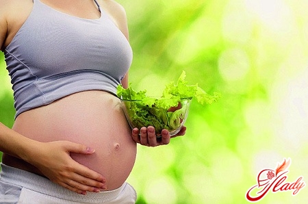 вегетаріанство і вагітність
