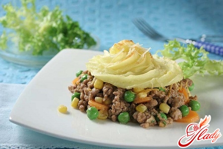 what to cook with minced meat
