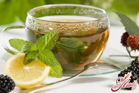 fasting on green tea