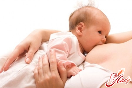 Breastfeeding Diet