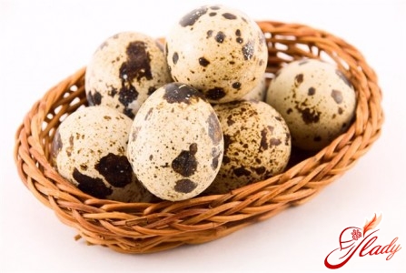 quail eggs for children