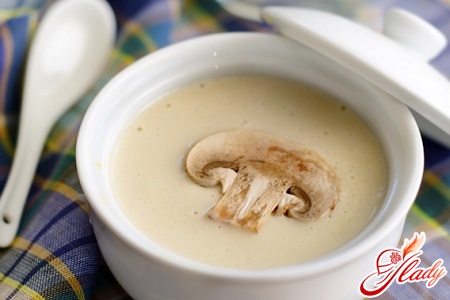 delicious mushroom soup with cheese