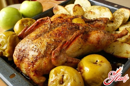 goose with apples in the oven