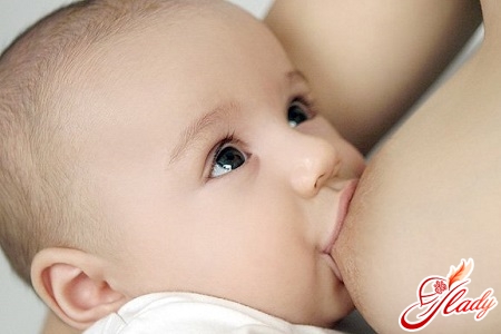 feeding the baby's breasts to avoid the appearance of allergies