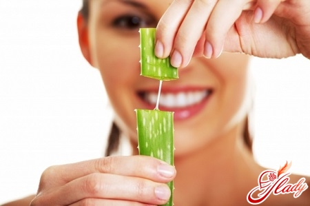 richtige Behandlung von gekochtem Aloe-Saft