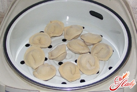 steamed dumplings in a multivark