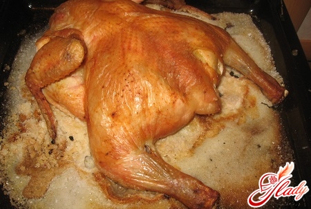 tasty chicken on salt in the oven