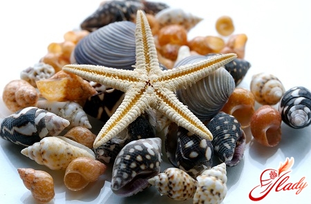 crafts from seashells