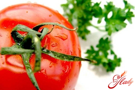dyrk tomatfrøplanter i tørvepiller