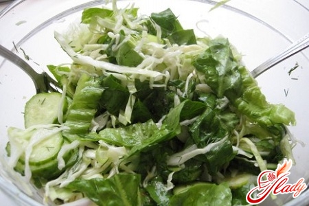 salad with cabbage and cucumbers