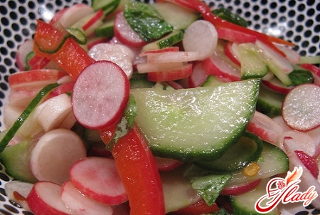 salads with fresh cucumber