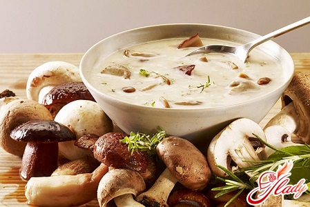 different recipes of mushroom soup