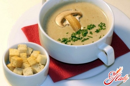 soup with champignons