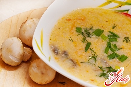 cheese soup puree with chicken