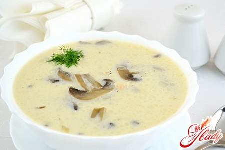 cheese soup puree with mushrooms