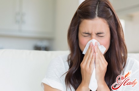 hohes Fieber für Allergien