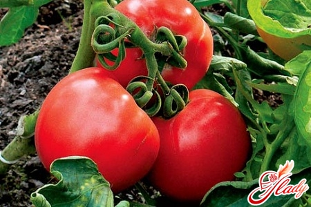 sorter af tomat