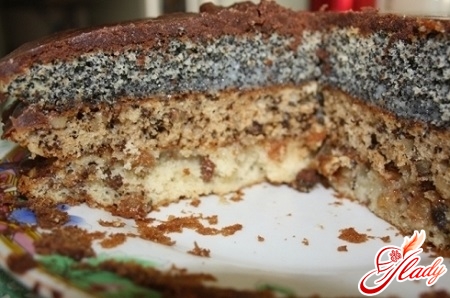 cake with raisins nuts and poppy seeds