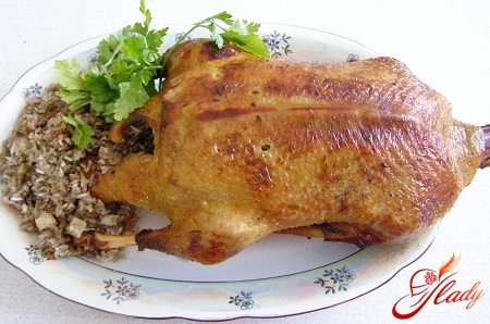duck stuffed with buckwheat and apples