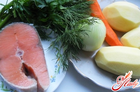 Ingredients for fish soup with red fish