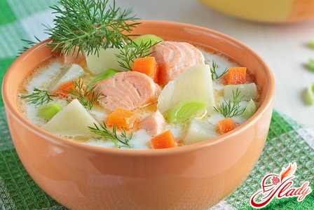 delicious salmon soup
