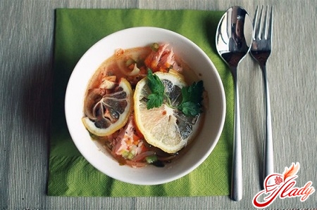 recipe for soup from salmon