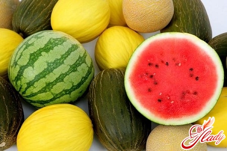 growing watermelons and melons